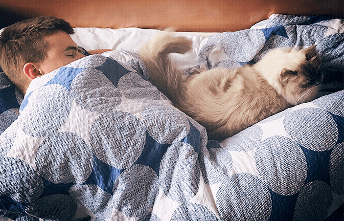 לישון-עם-חתולים